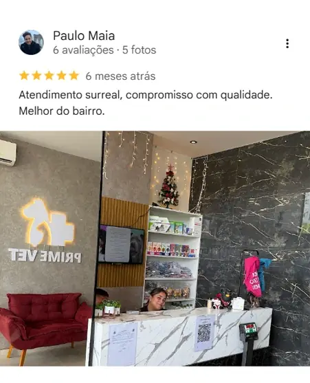 Avaliação real de tutor no Google